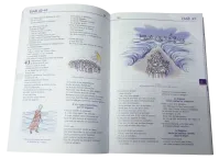 BIBLE ILLUSTREE (LA) - PAROLE DE VIE