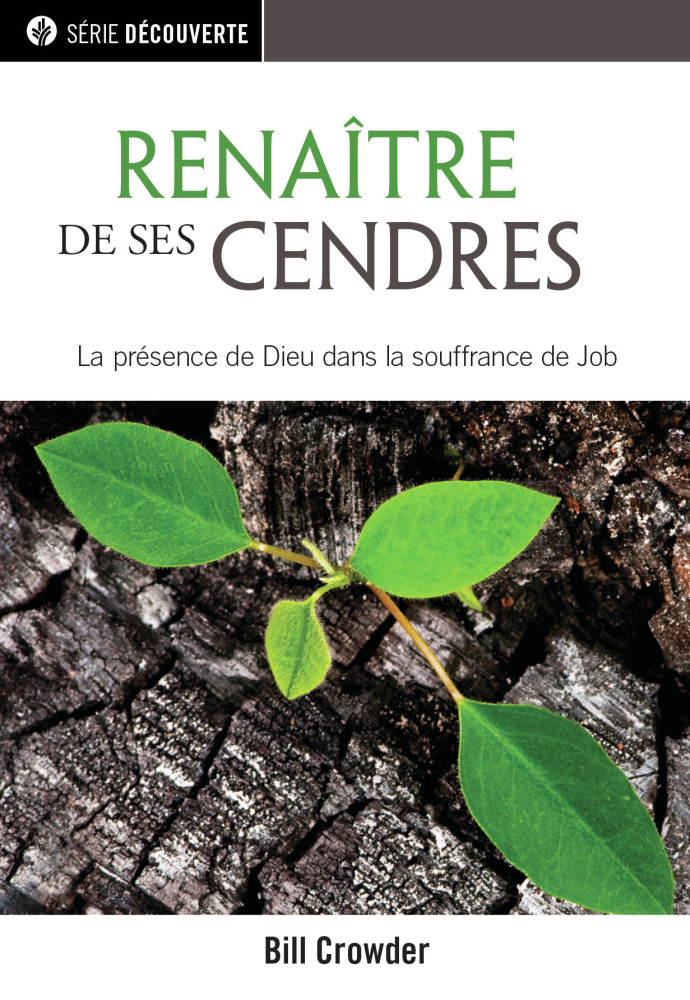 RENAITRE DE SES CENDRES - LA PRESENCE DE DIEU DANS LA SOUFFRANCE DE JOB