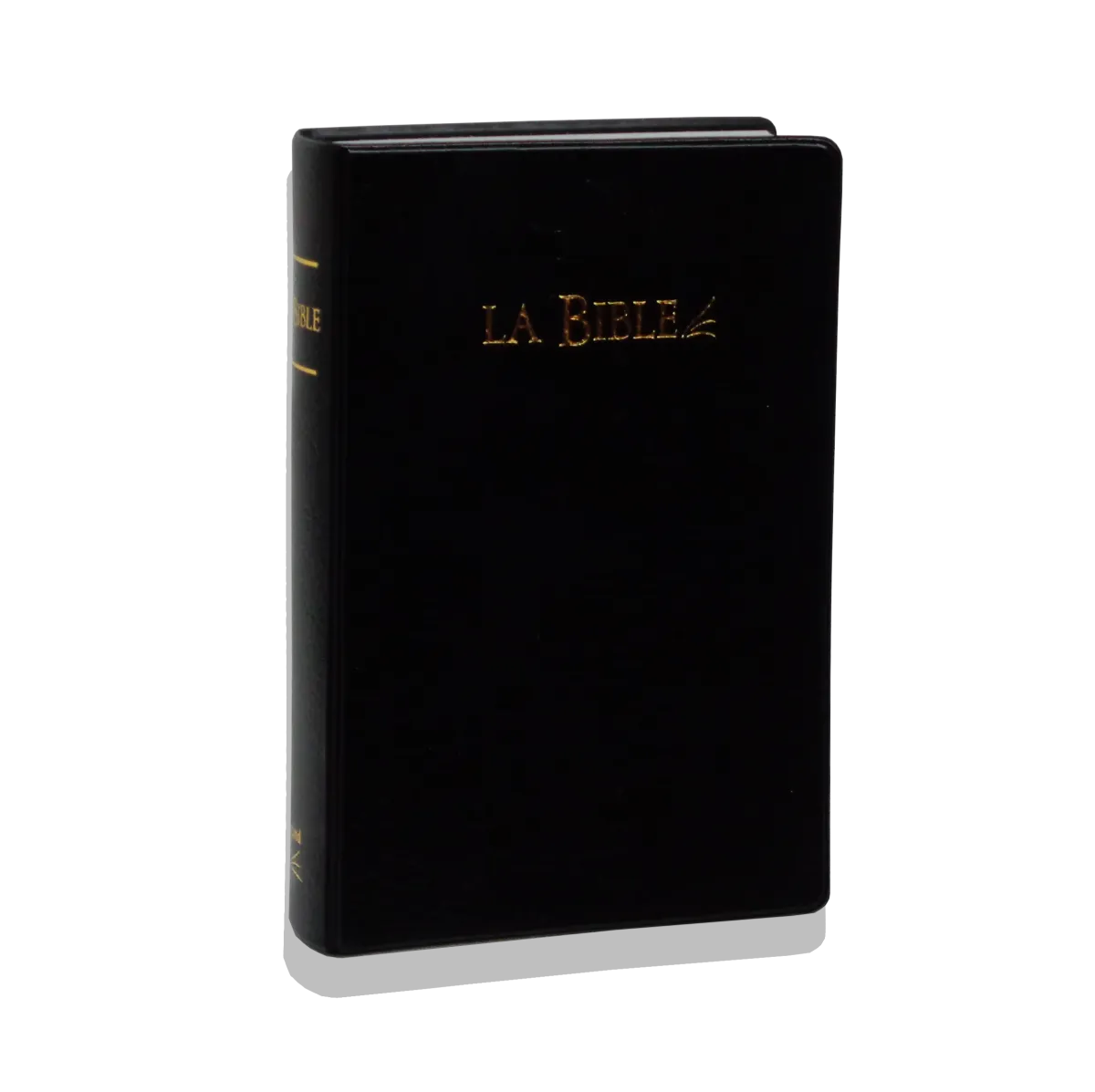 BIBLE SG 21 PVC NOIR