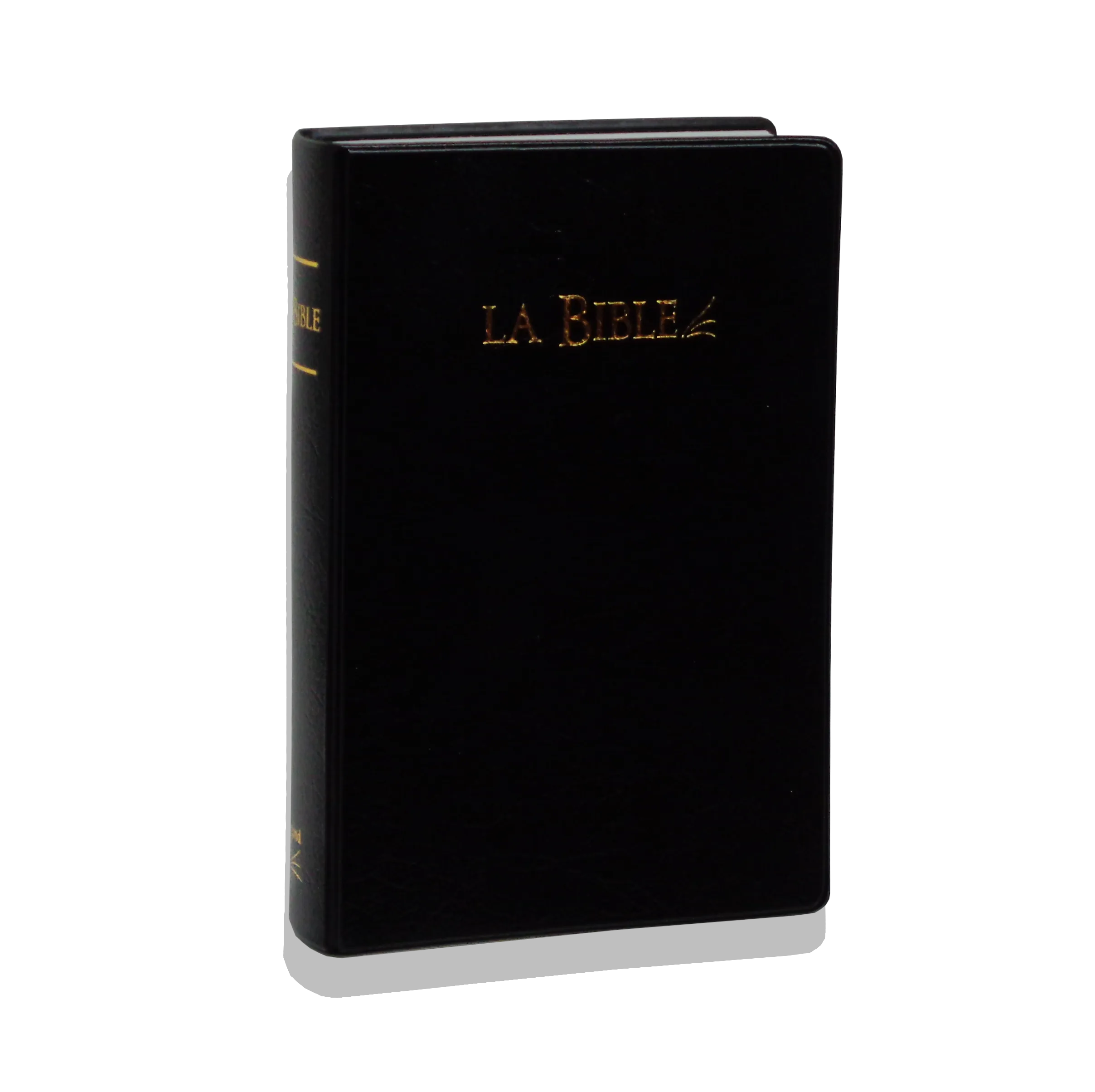 BIBLE SG 21 PVC NOIR