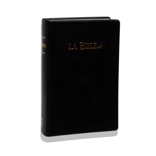 BIBLE SG 21 PVC NOIR