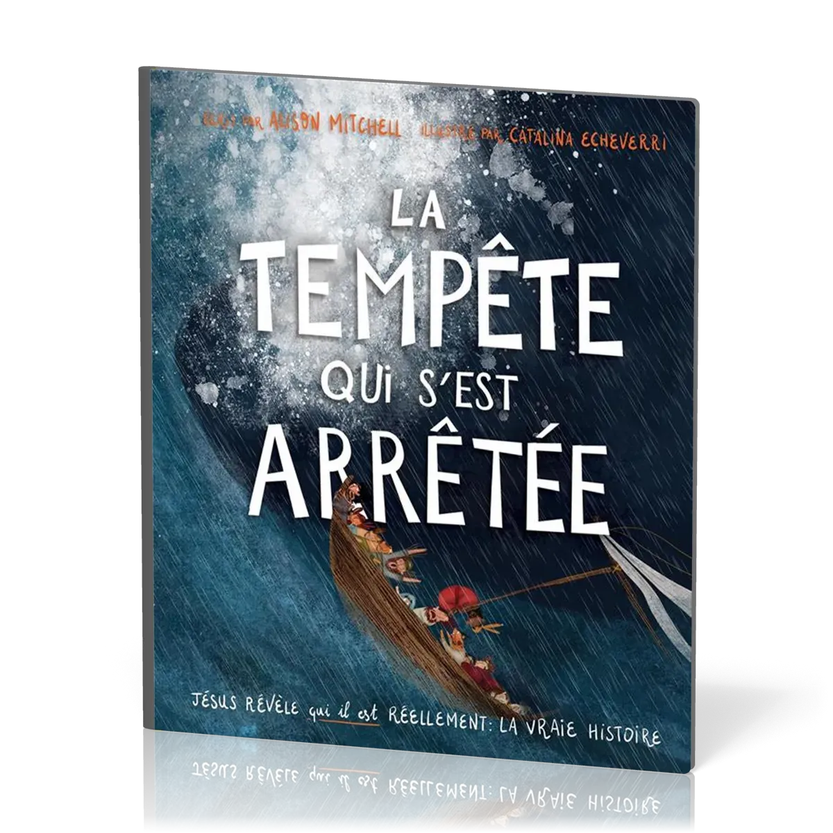TEMPETE QUI S'EST ARRETEE (LA)