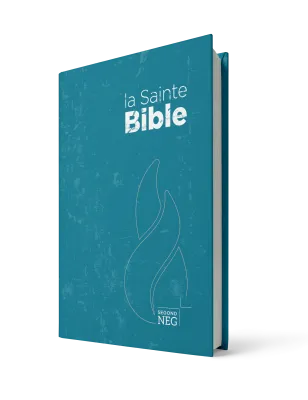 BIBLE SEGOND NEG COMPACT RIGIDE BLEU