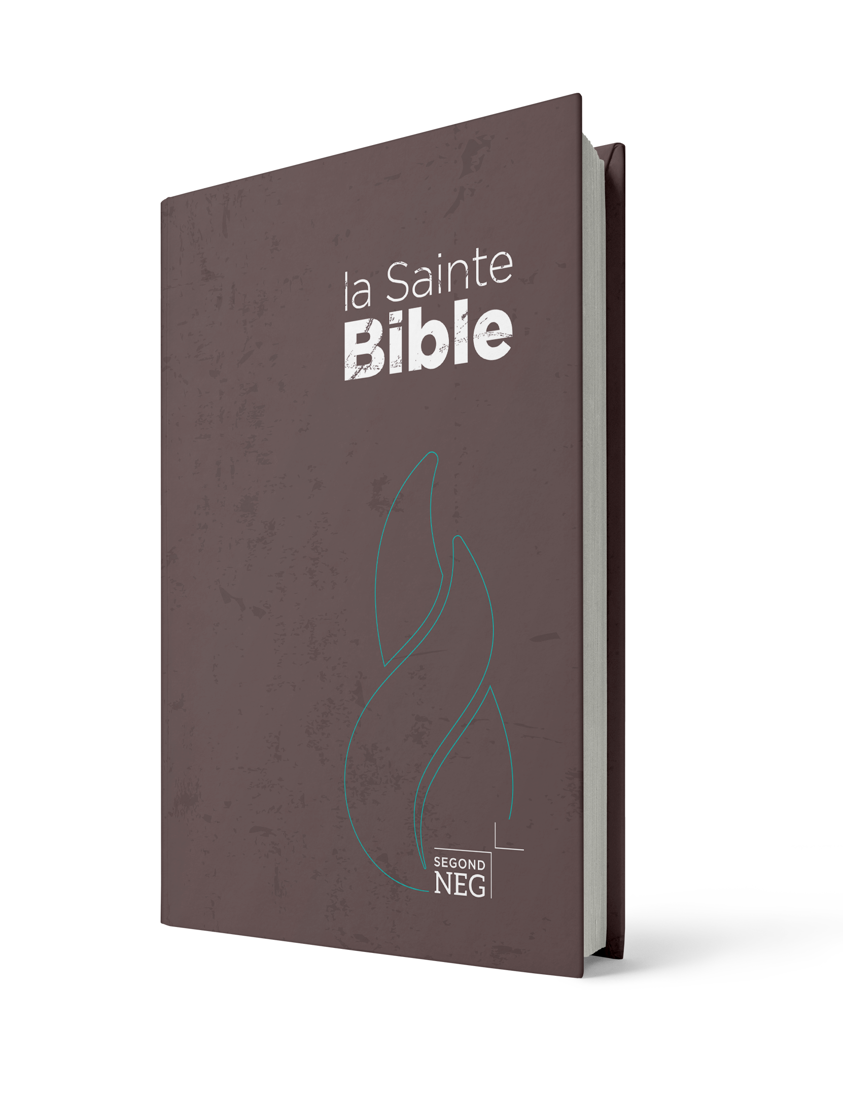 BIBLE SEGOND NEG COMPACT RIGIDE BRUNE