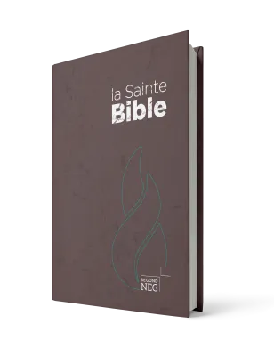 BIBLE SEGOND NEG, COMPACTE COUVERTURE RIGIDE BRUNE CHOCOLAT