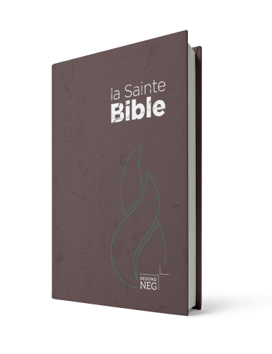 BIBLE SEGOND NEG, COMPACTE COUVERTURE RIGIDE BRUNE CHOCOLAT