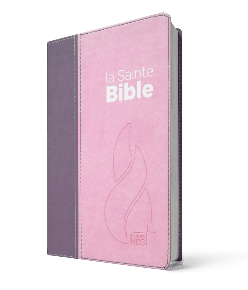 BIBLE NEG COMPACT SOUPLE VIVELLA DUO ROSE PRALINE VIOLET FRUITS DES BOIS