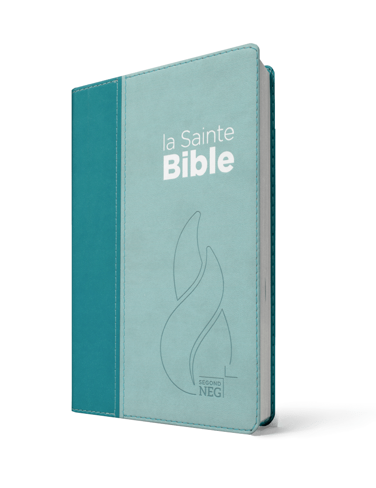 BIBLE NEG COMPACT SOUPLE VIVELLA DUO BLEU LAGON BLEU CIEL