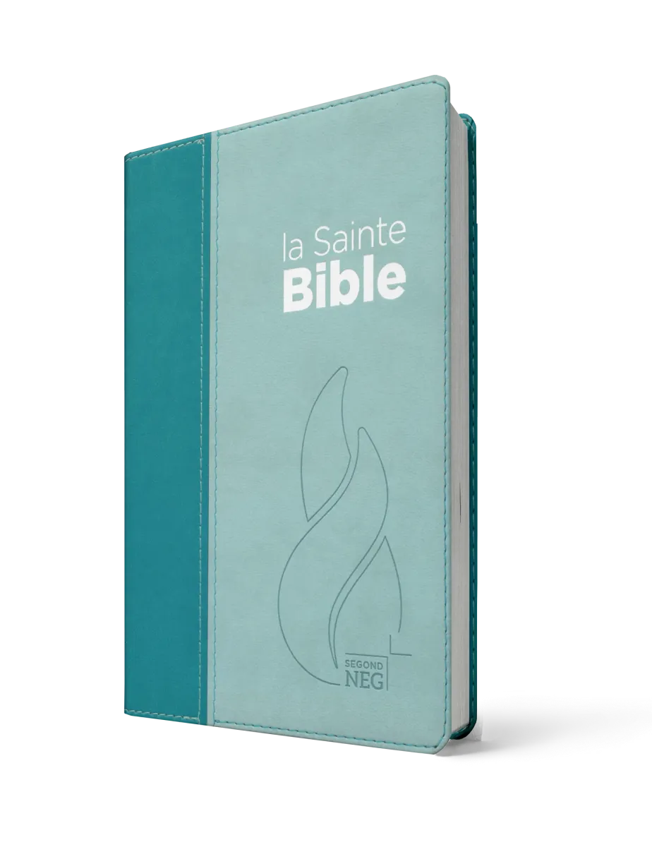 BIBLE NEG COMPACT SOUPLE VIVELLA DUO BLEU LAGON BLEU CIEL