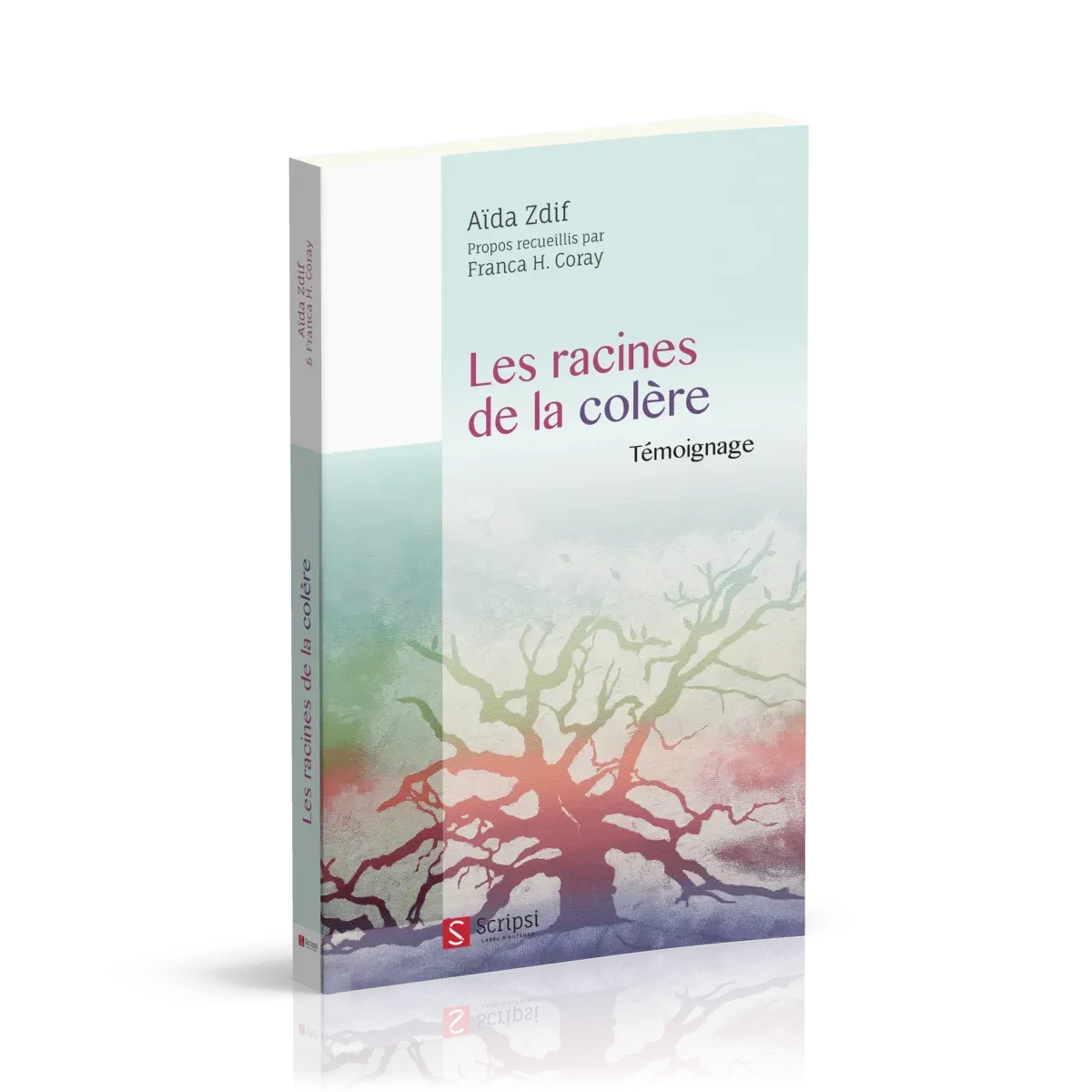 RACINES DE LA COLERE (LES)