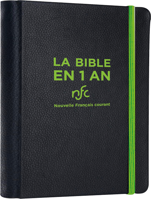 BIBLE EN 1 AN SOUPLE SIMILICUIR SANS DEUTEROCANONIQUE (LA)