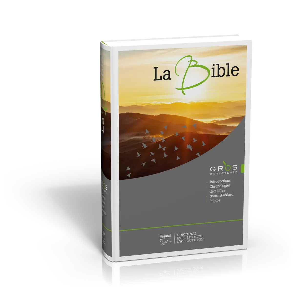 BIBLE SEGOND 21 GROS CARACTERES ILLUSTRE SG12511