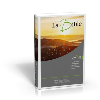 BIBLE SEGOND 21 GROS CARACTERES ILLUSTRE SG12511