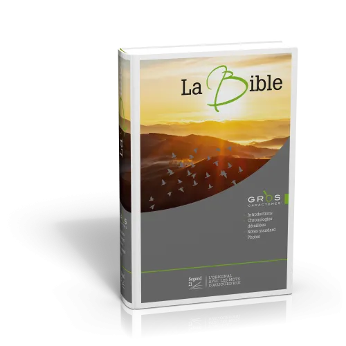 BIBLE SEGOND 21 GROS CARACTERES ILLUSTRE SG12511