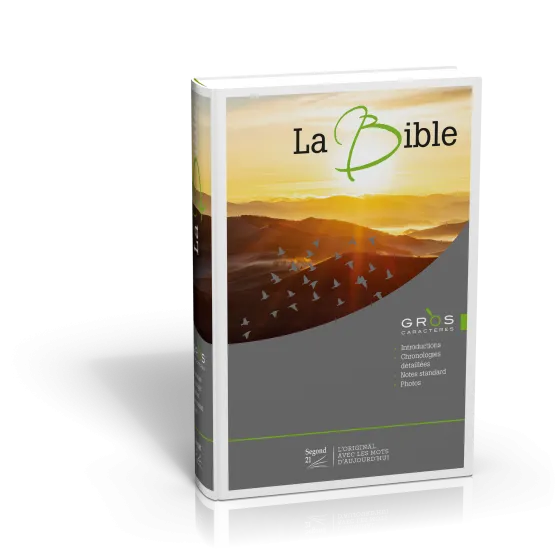 BIBLE SEGOND 21 GROS CARACTERES ILLUSTRE SG12511