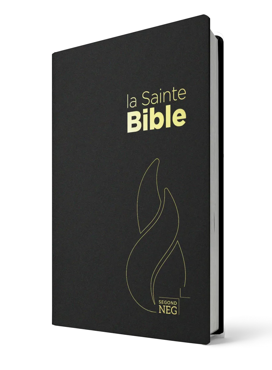 BIBLE NEG COMPACT PVC NOIR