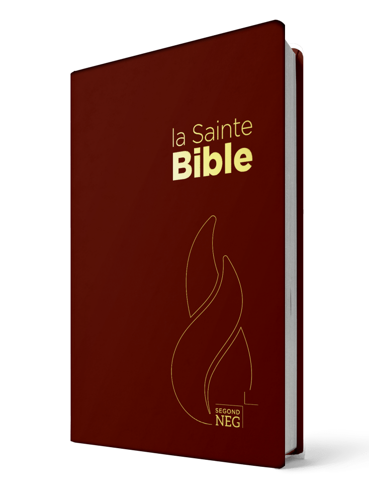 BIBLE NEG COMPACT PVC GRENAT