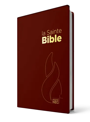 BIBLE NEG COMPACT PVC GRENAT