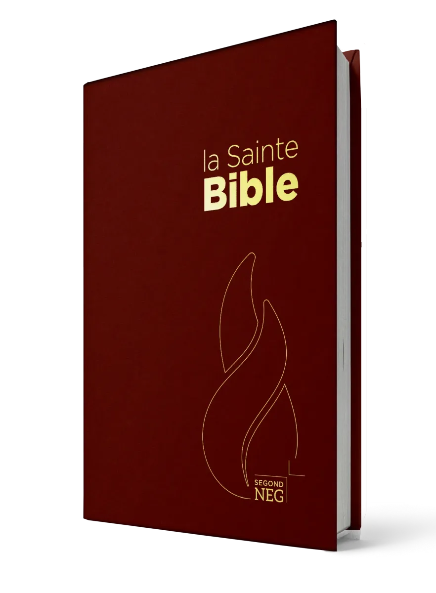 BIBLE NEG COMPACT RIGIDE GRENAT