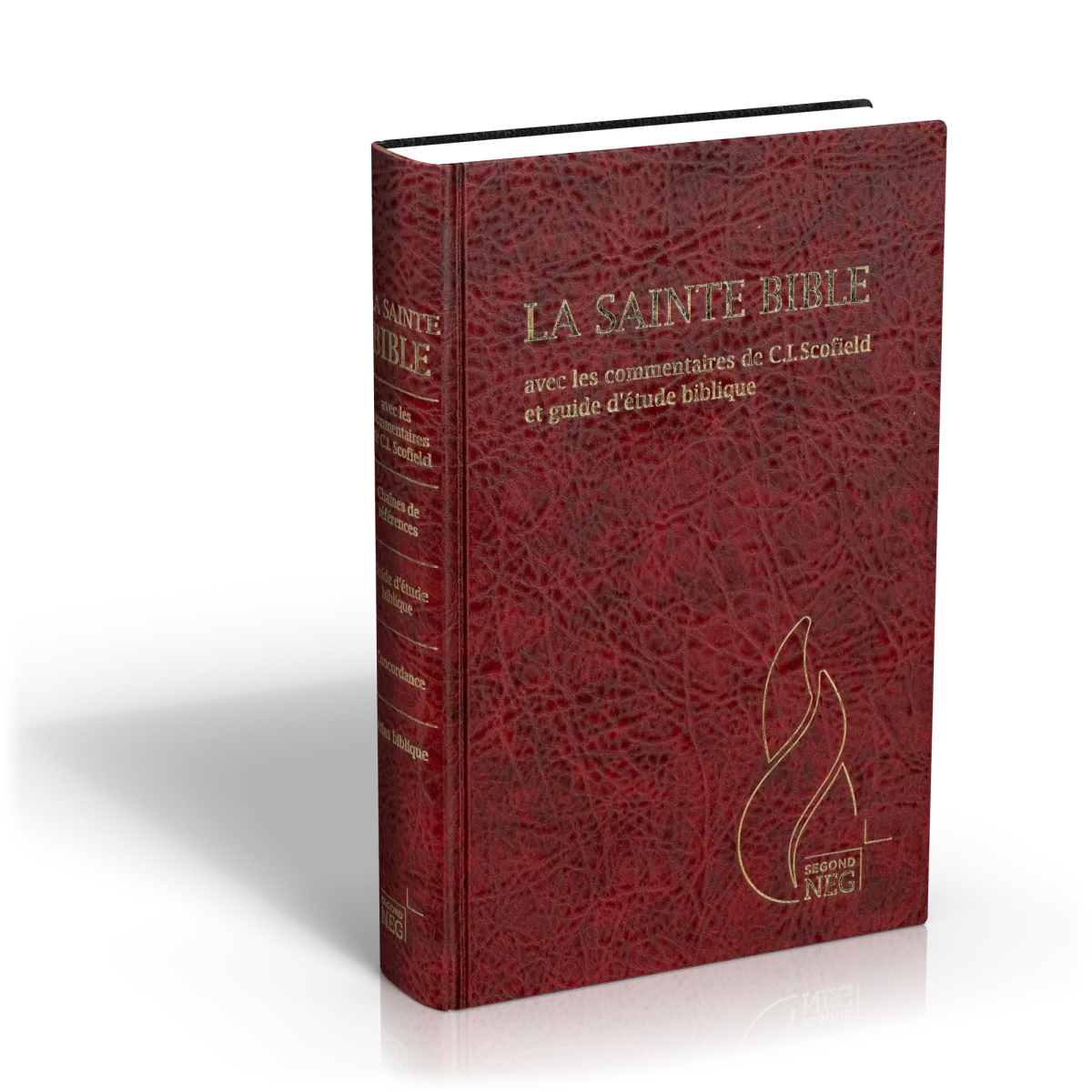 BIBLE NEG SCOFIELD RIGIDE SKYVERTEX BORDEAUX