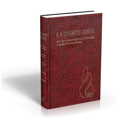 BIBLE NEG SCOFIELD RIGIDE SKYVERTEX BORDEAUX