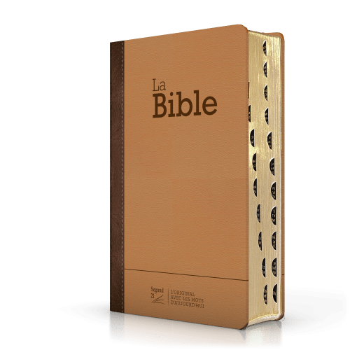 BIBLE SEGOND 21 COMPACTE "PREMIUM STYLE" SEMI RIGIDE DUO CUIR PRALINE CHOCOLAT - TRANCHES DOREES