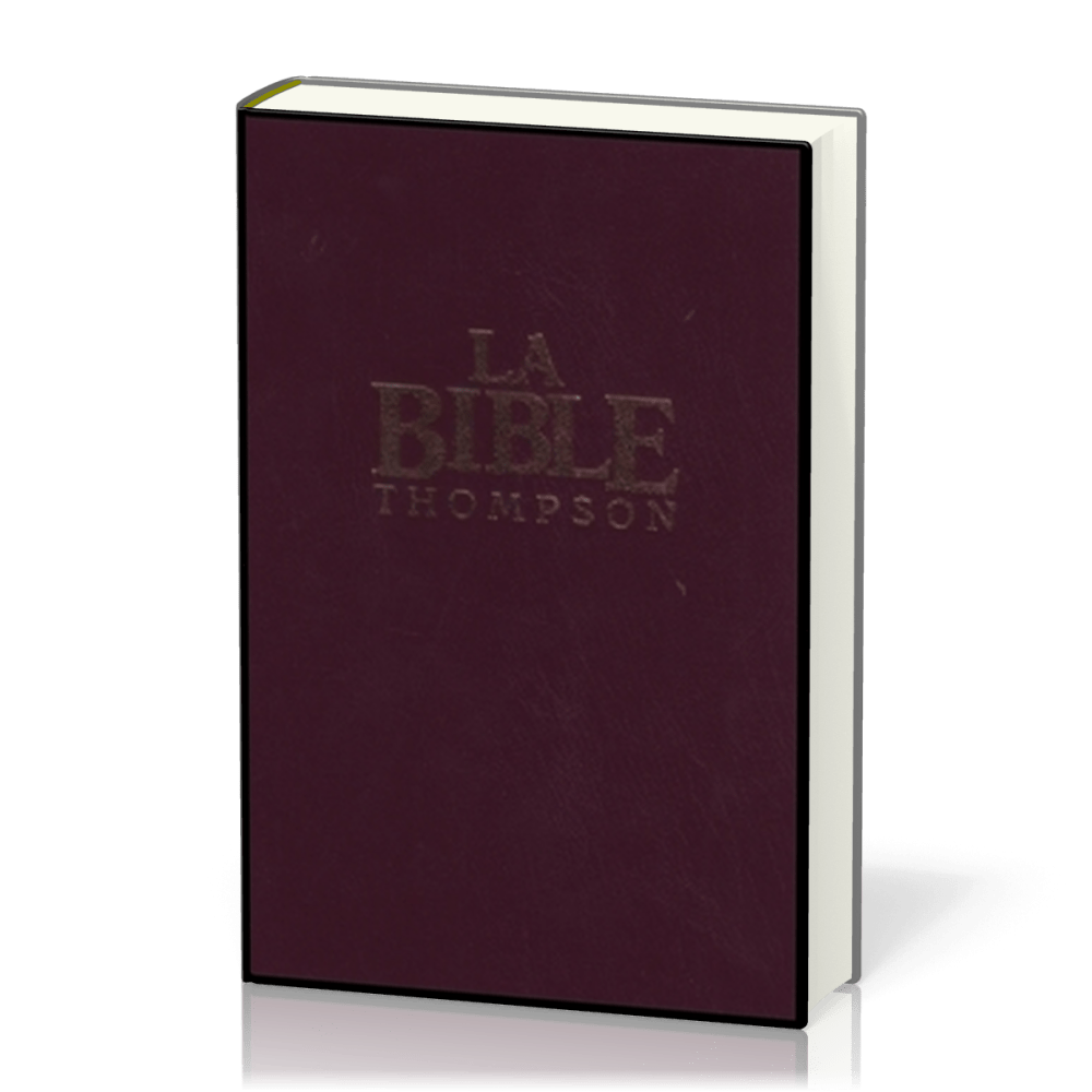 BIBLE THOMPSON COLOMBE SIMILI CUIR RIGIDE GRENAT