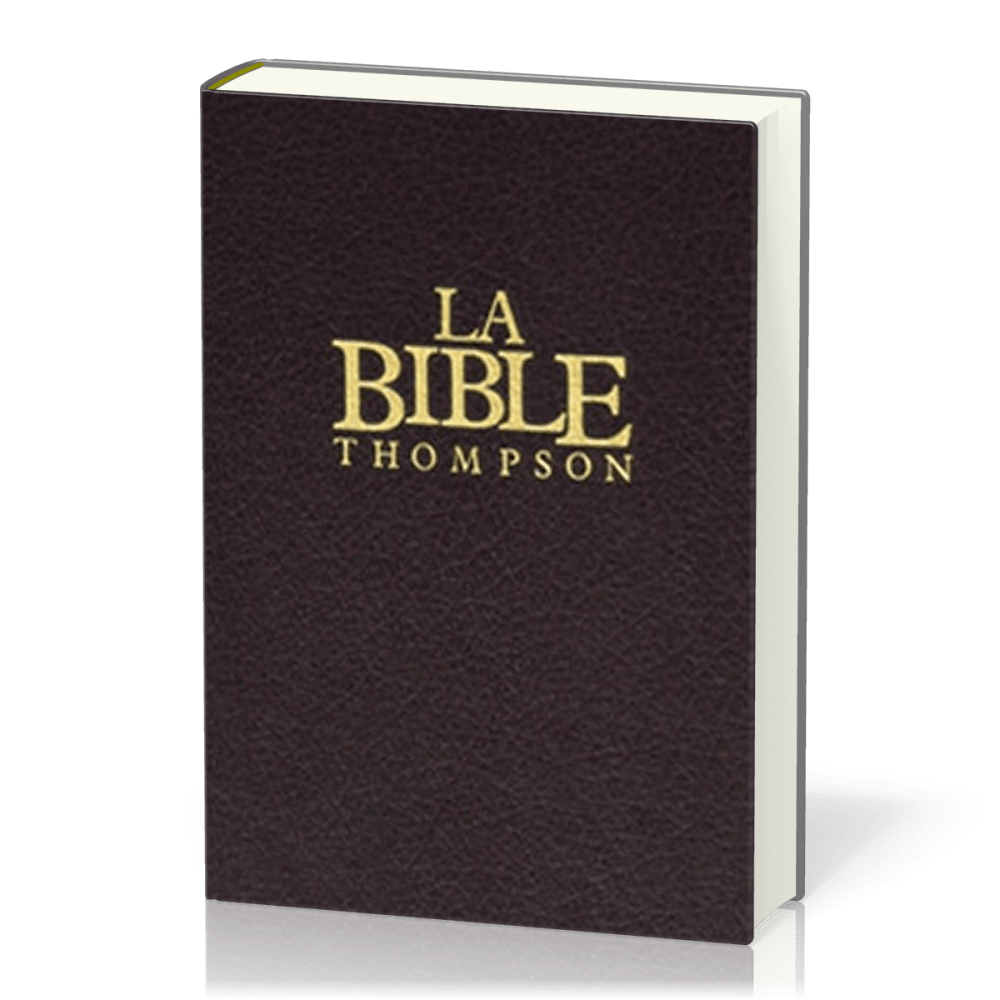 BIBLE THOMPSON COLOMBE ONGLETS RIGIDE BRUN