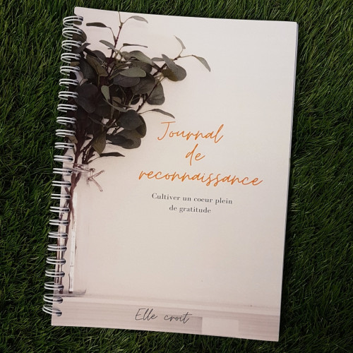 JOURNAL DE RECONNAISSANCE