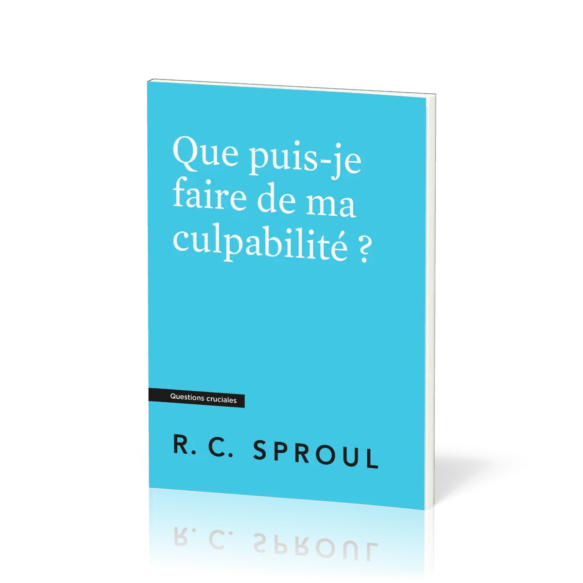 QUE PUIS-JE FAIRE DE MA CULPABIBLITE ?