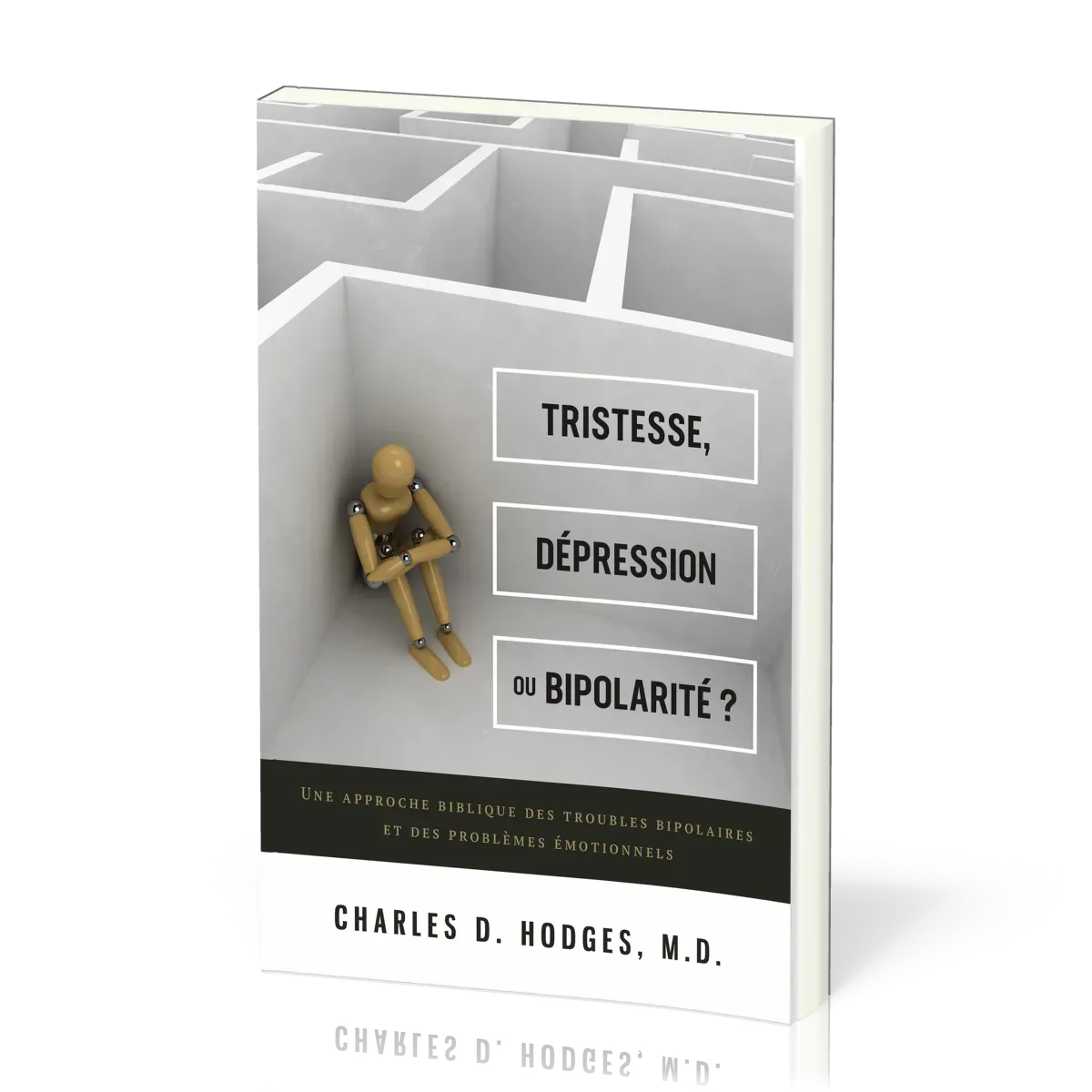 TRISTESSE, DEPRESSION OU BIPOLARITE ? - UNE APPROCHE BIBLIQUE DES TROUBLES BIPOLAIRES ET DES PROBLEM