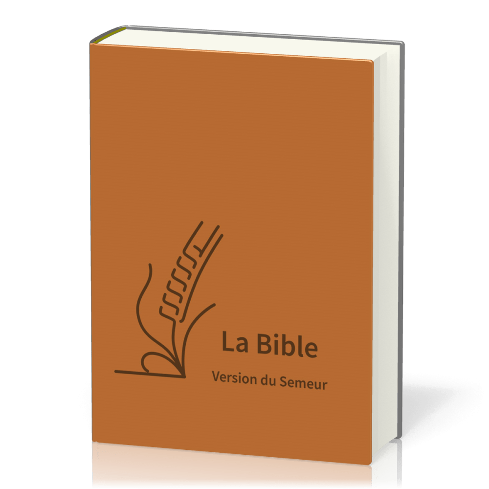 BIBLE SEMEUR 2015 GROS CARACTERES SEMI SOUPLE TEXTILE BRUN