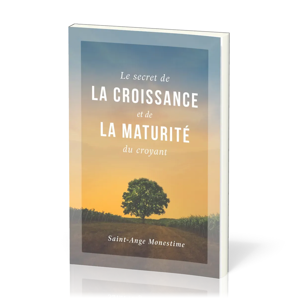 SECRET DE LA CROISSANCE ET DE LA MATURITE DU CROYANT (LE)
