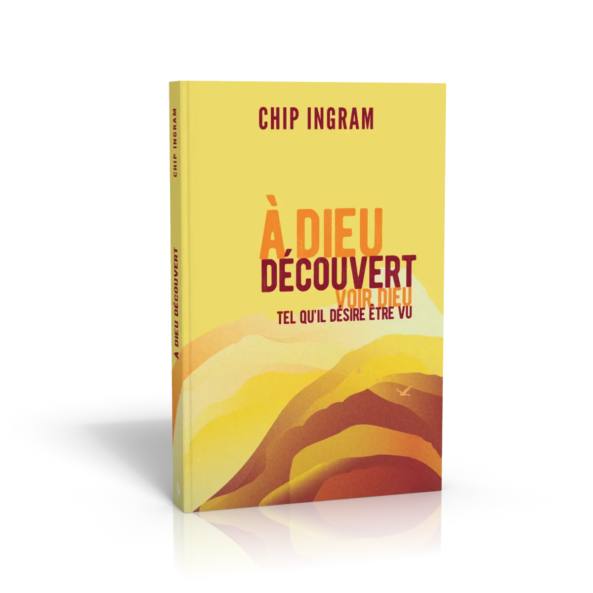 A DIEU DECOUVERT - VOIR DIEU TEL QU'IL DESIR ETRE VU