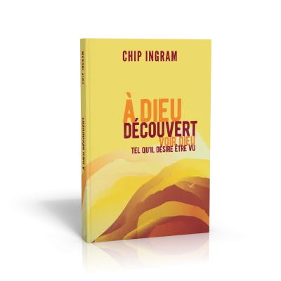 A DIEU DECOUVERT - VOIR DIEU TEL QU'IL DESIR ETRE VU