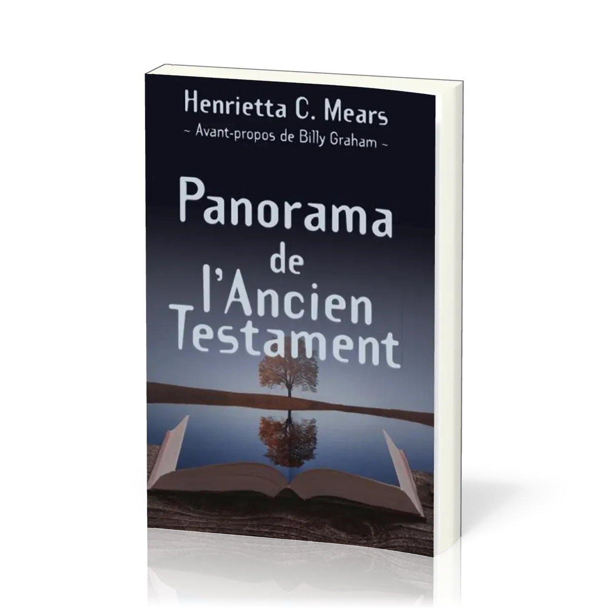 PANORAMA DE L'ANCIEN TESTAMENT