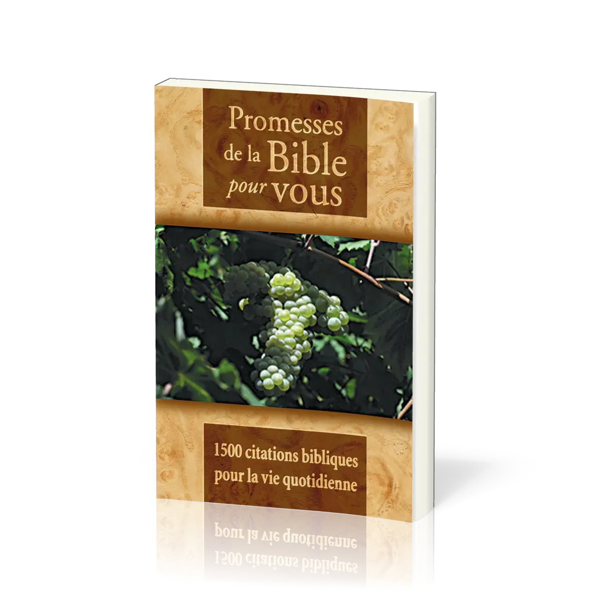 PROMESSES DE LA BIBLE POUR VOUS
