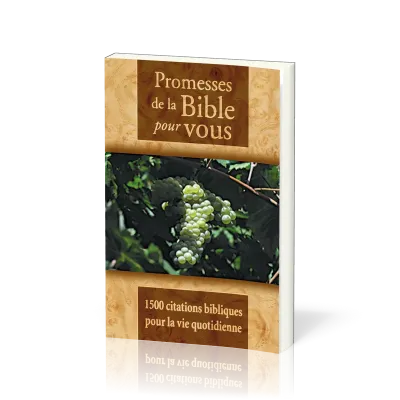 PROMESSES DE LA BIBLE POUR VOUS