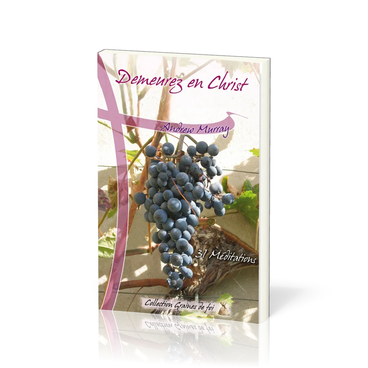 DEMEUREZ EN CHRIST