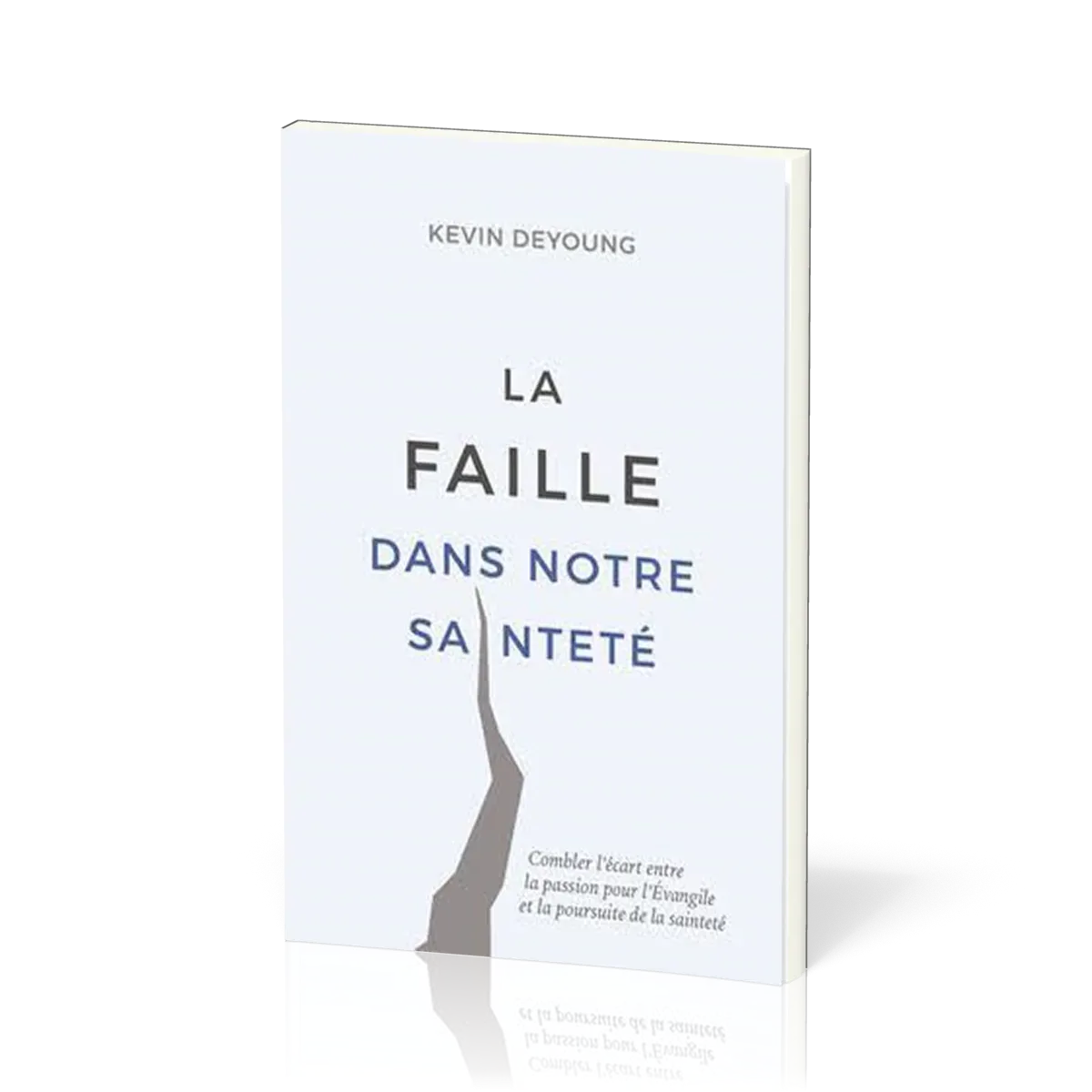 FAILLE DANS NOTRE SAINTETE