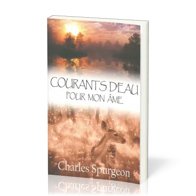 COURANTS D'EAU POUR MON AME
