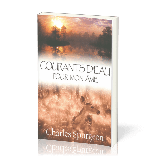 COURANTS D'EAU POUR MON AME