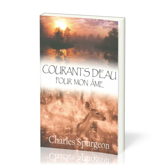 COURANTS D'EAU POUR MON AME