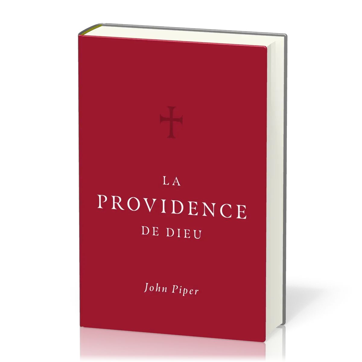 PROVIDENCE DE DIEU (LA)