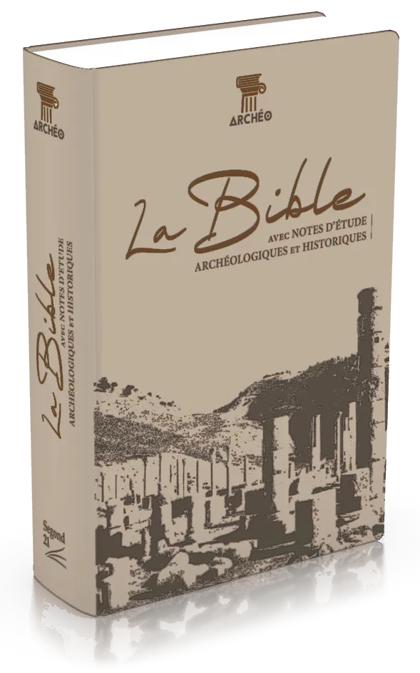 BIBLE SEGOND 21 ARCHEOLOGIQUE SOUPLE VIVELLA BRUN
