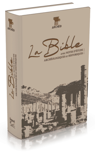 BIBLE SEGOND 21 ARCHEOLOGIQUE SOUPLE VIVELLA BRUN