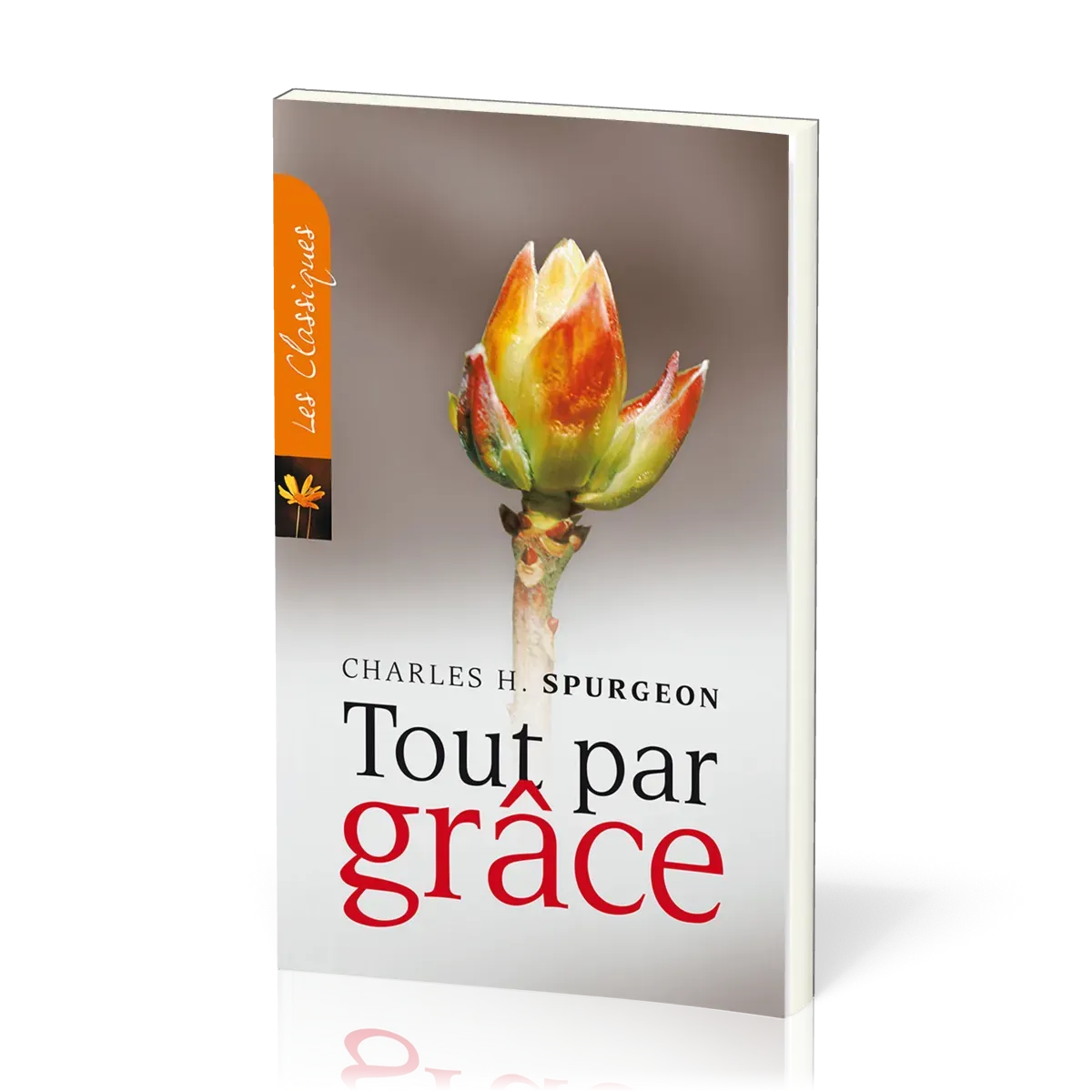 TOUT PAR GRACE - NOUVELLE EDITION
