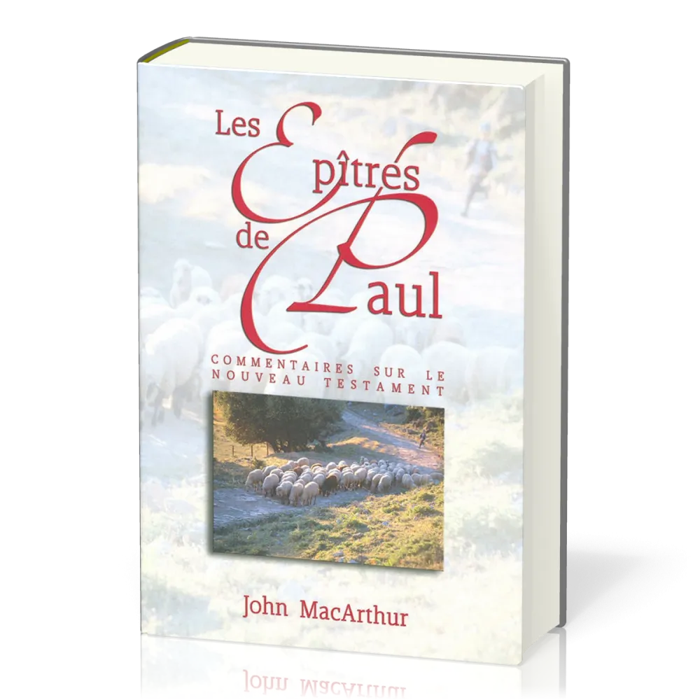 EPITRES DE PAUL (LES) - COMMENTAIRES SUR LE NOUVEAU TESTAMENT