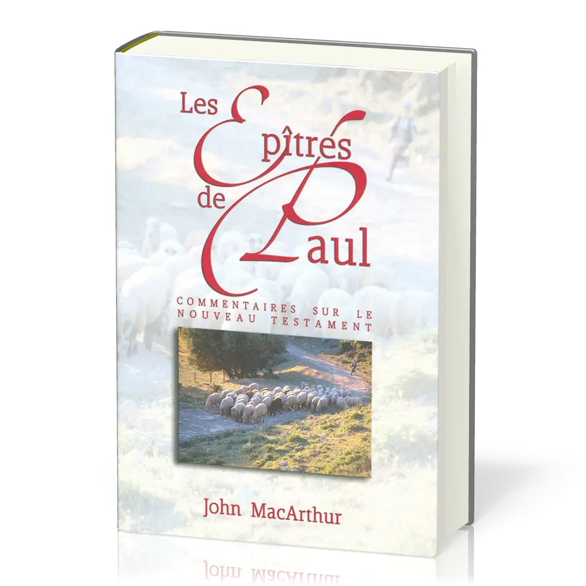 EPITRES DE PAUL (LES) - COMMENTAIRES SUR LE NOUVEAU TESTAMENT