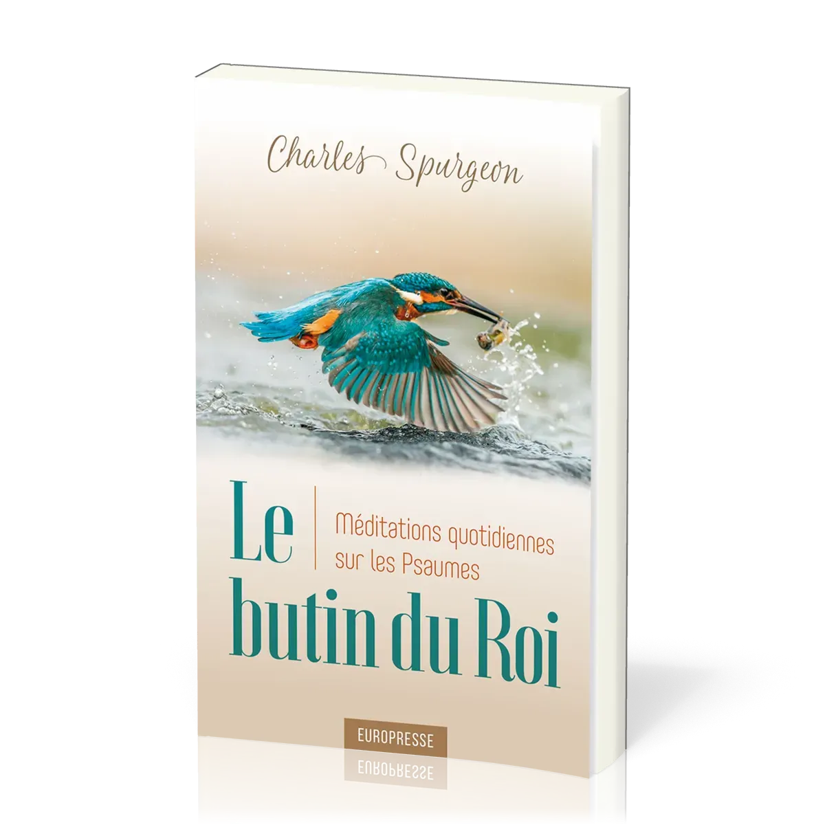 BUTIN DU ROI (LE) - MEDITATIONS QUOTIDIENNES SUR LES PSAUMES